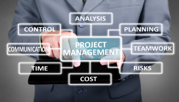 figurus, project, scripts, management, filemaker